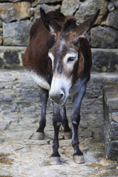 Similar image 1725235