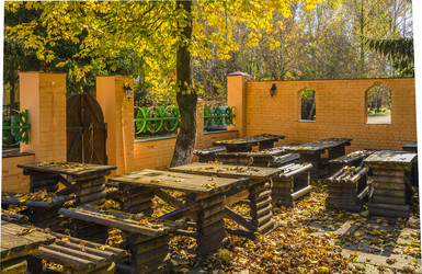 Similar image 1725397