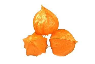 Similar image 1725664