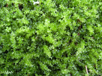 Similar image 1725739