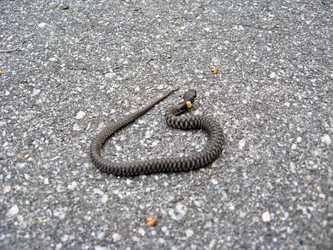 Similar image 1725740