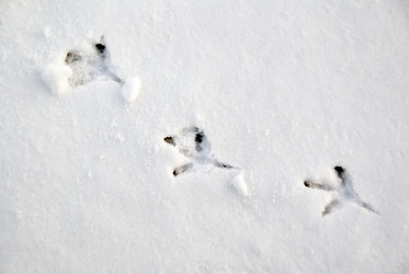 Similar image 1725761