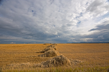 Similar image 1725811