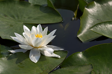 Similar image 1725813