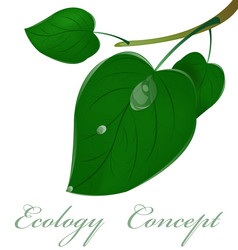 Similar image 1726185