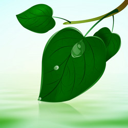 Similar image 1726222