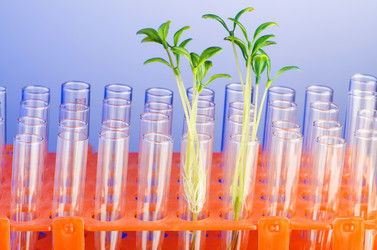 Similar image 1726609