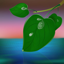 Similar image 1727394