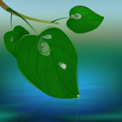 Similar image 1727403