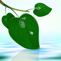 Similar image 1727404