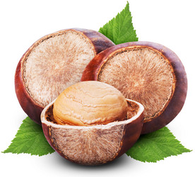 Similar image 1727764