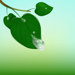 Similar image 1727769