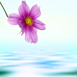 Similar image 1727794