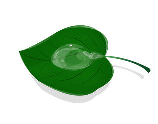 Similar image 1727797