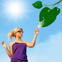 Similar image 1727827