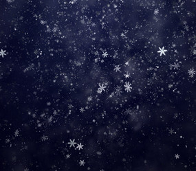 Similar image 1728112