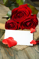 Similar image 1728278