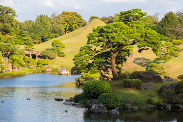 Similar image 1728297