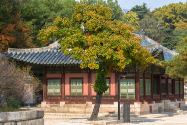 Similar image 1728299