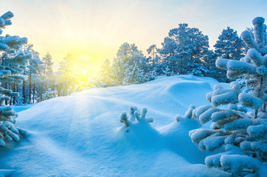 Similar image 1728455