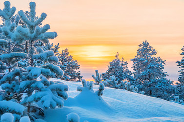 Similar image 1728456