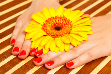 Similar image 1728458