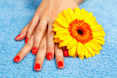 Similar image 1728459