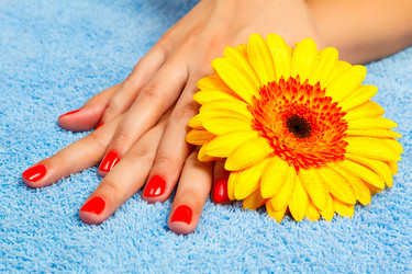 Similar image 1728460