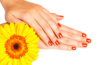 Similar image 1728462