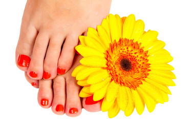 Similar image 1728466