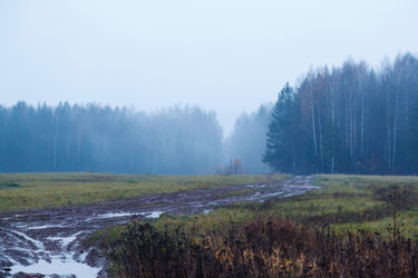 Similar image 1728536