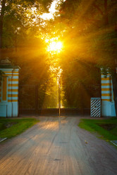 Similar image 1728544