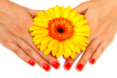 Similar image 1728551