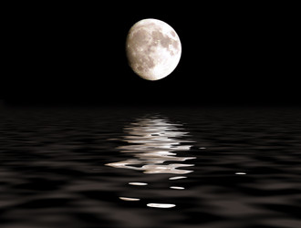 Similar image 1728564