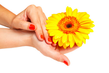 Similar image 1728582