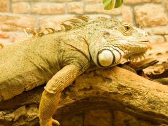 Similar image 1728616