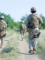 Similar image 1728654