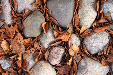 Similar image 1728745