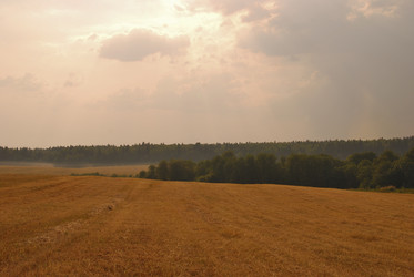 Similar image 1728790