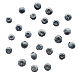 Similar image 1728819