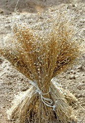 Similar image 1728864