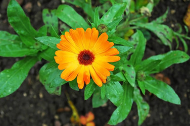 Similar image 1728865