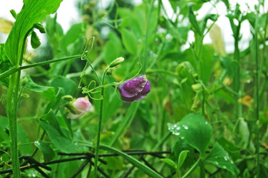 Similar image 1728866