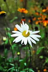 Similar image 1728870