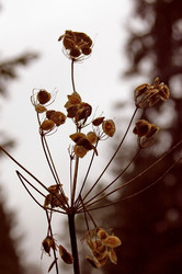 Similar image 1728871