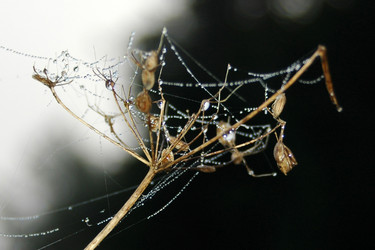 Similar image 1728873