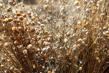 Similar image 1728874