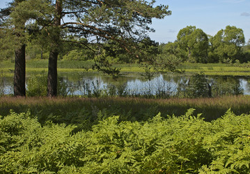 Similar image 1728896