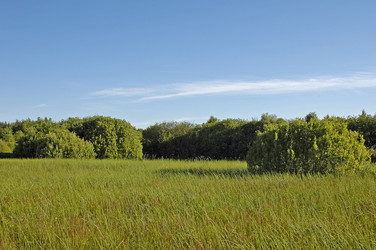 Similar image 1728897