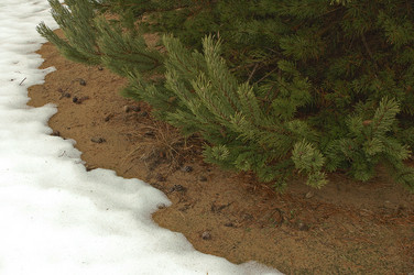 Similar image 1728909